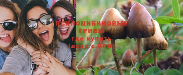 бошки Нязепетровск
