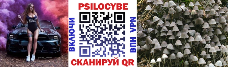 купить наркоту Звенигород Галлюциногенные грибы ЛСД