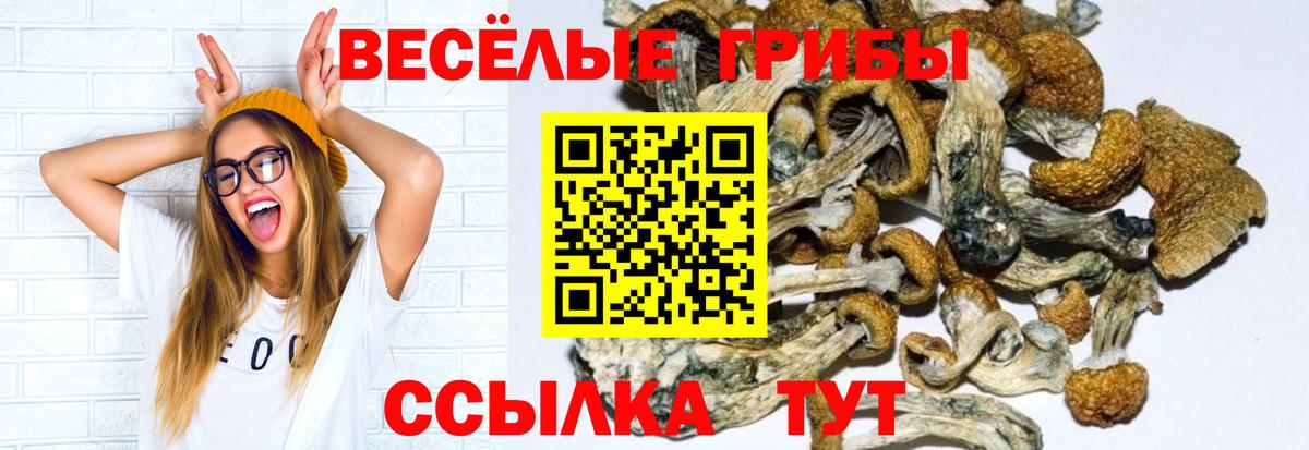 Меф Звенигород